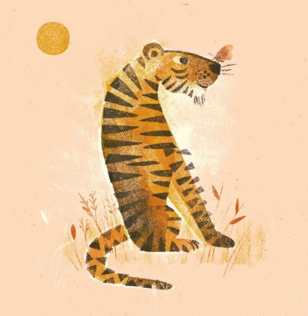 Tiger.jpg
