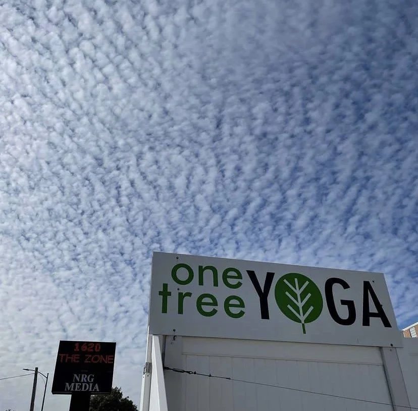 Behind the name One Tree Yoga by: Alison King Tigges