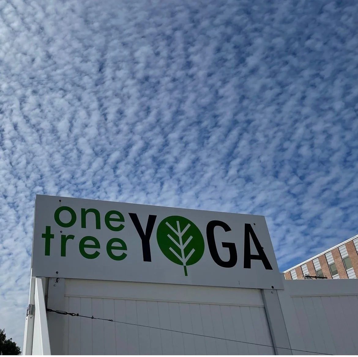 Why One Tree Yoga? By: Alison King Tigges