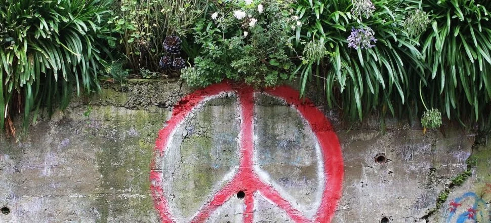 Push for peace from new foreign policy body
