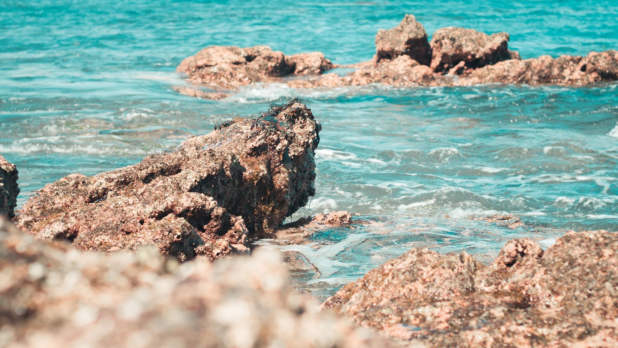mexicobeach-3.jpg