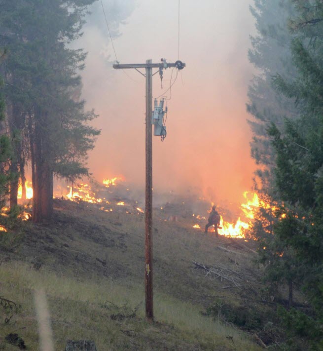 wild_fire.jpg