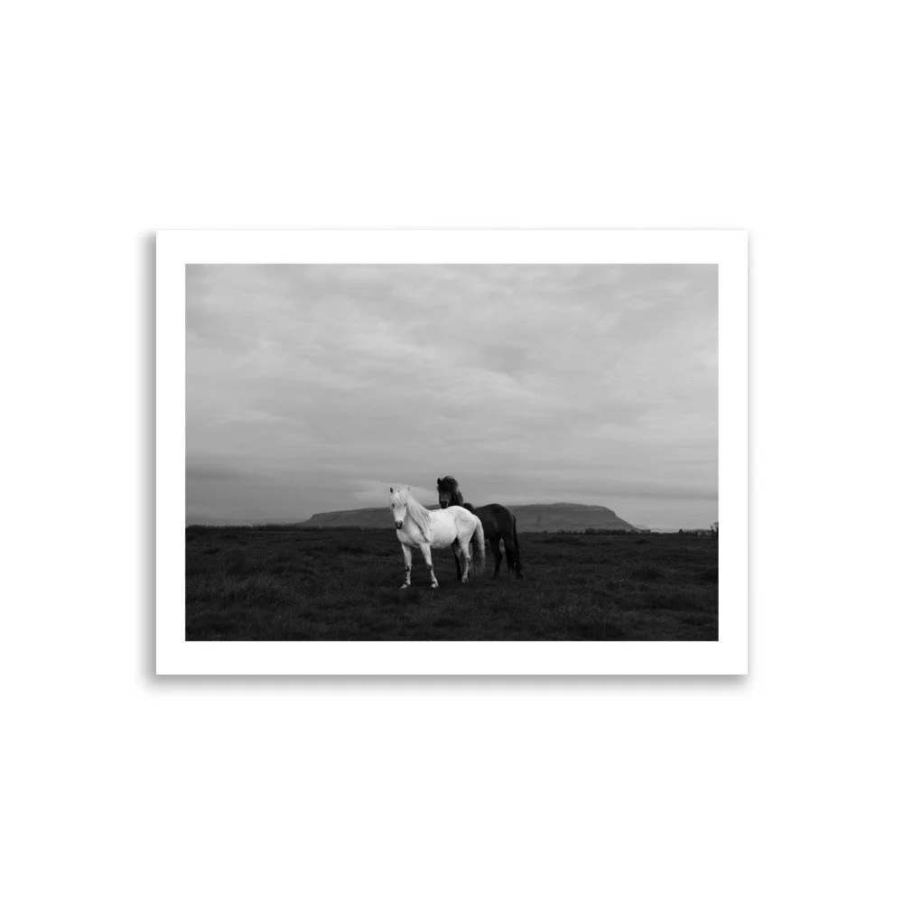 enhanced-matte-paper-poster-(cm)-30x40-cm-front-67703c5c6c2a8.jpg