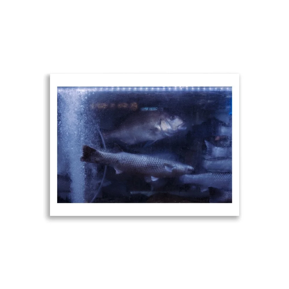 enhanced-matte-paper-poster-(cm)-30x40-cm-front-6931756353f00.jpg