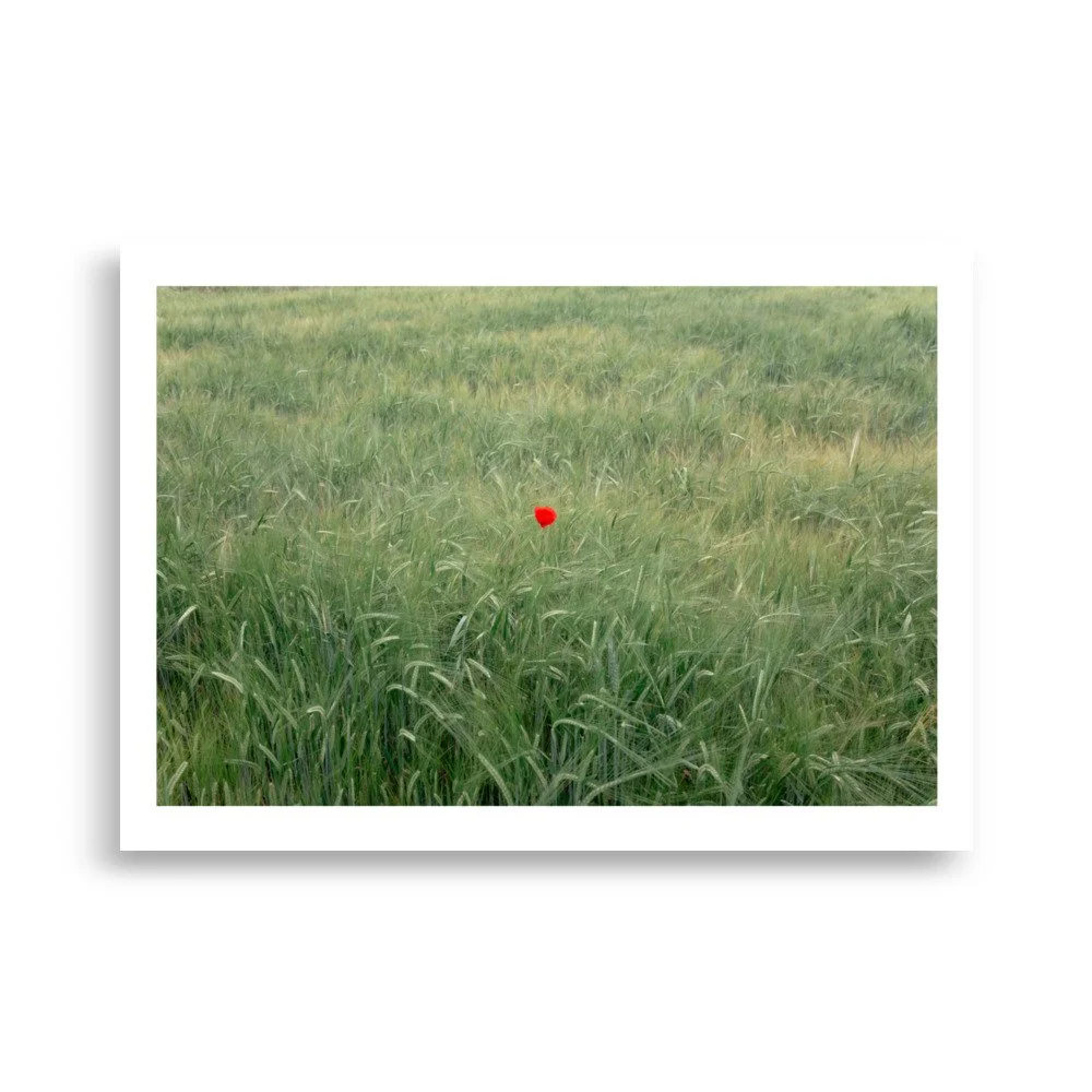 enhanced-matte-paper-poster-(cm)-50x70-cm-front-6a2accaae1449.jpg