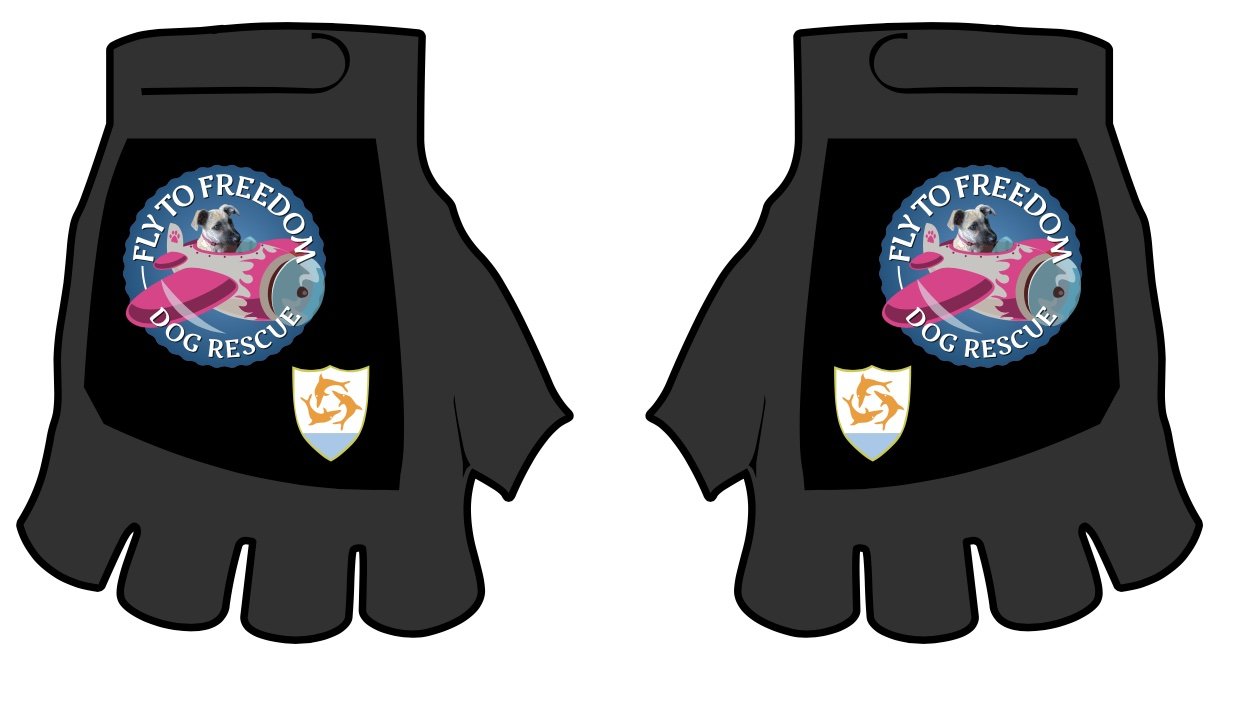 Fly to Freedom with Anguilla logo.jpg