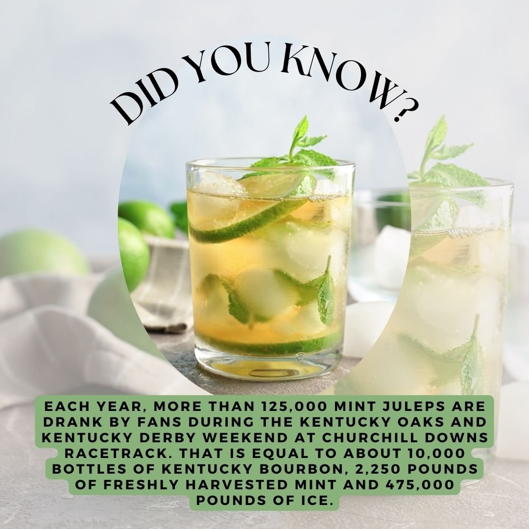 Did you know? 

Each year, more than 125,000 Mint Juleps are drank by fans during the Kentucky Oaks and Kentucky Derby weekend at Churchill Downs Racetrack. that is equal to about 10,000 bottles of Kentucky bourbon, 2,250 pounds of freshly harvested 