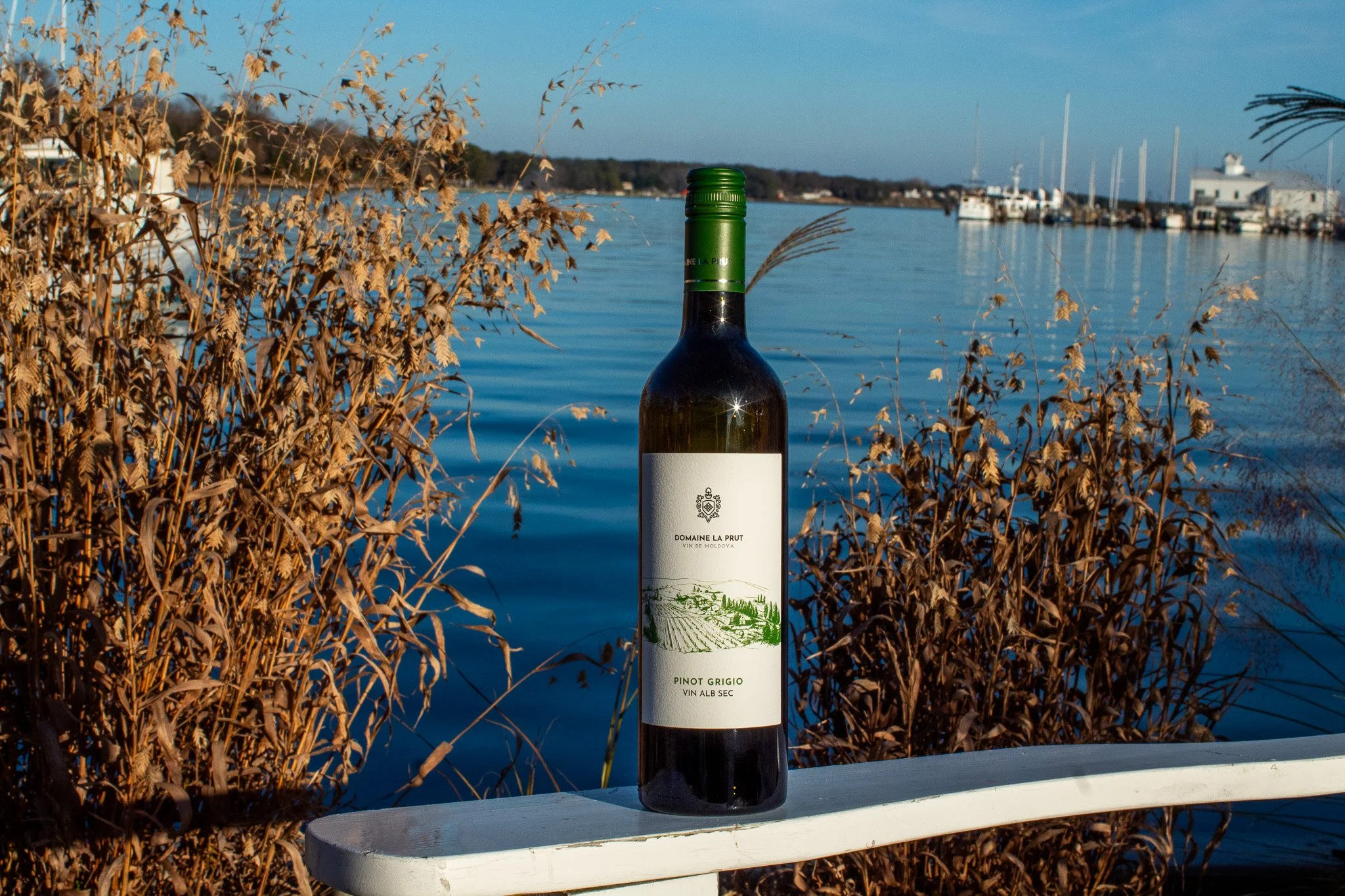 Day 10 of NTTC&rsquo;s 12 Days of Christmas! Holiday wines made easy 🍷✨
Entertaining this season? Keep it simple with crowd-pleasing pairings:

&bull; Sparkling wine with appetizers and cheese boards

&bull; Pinot Noir with roasted turkey or chicken