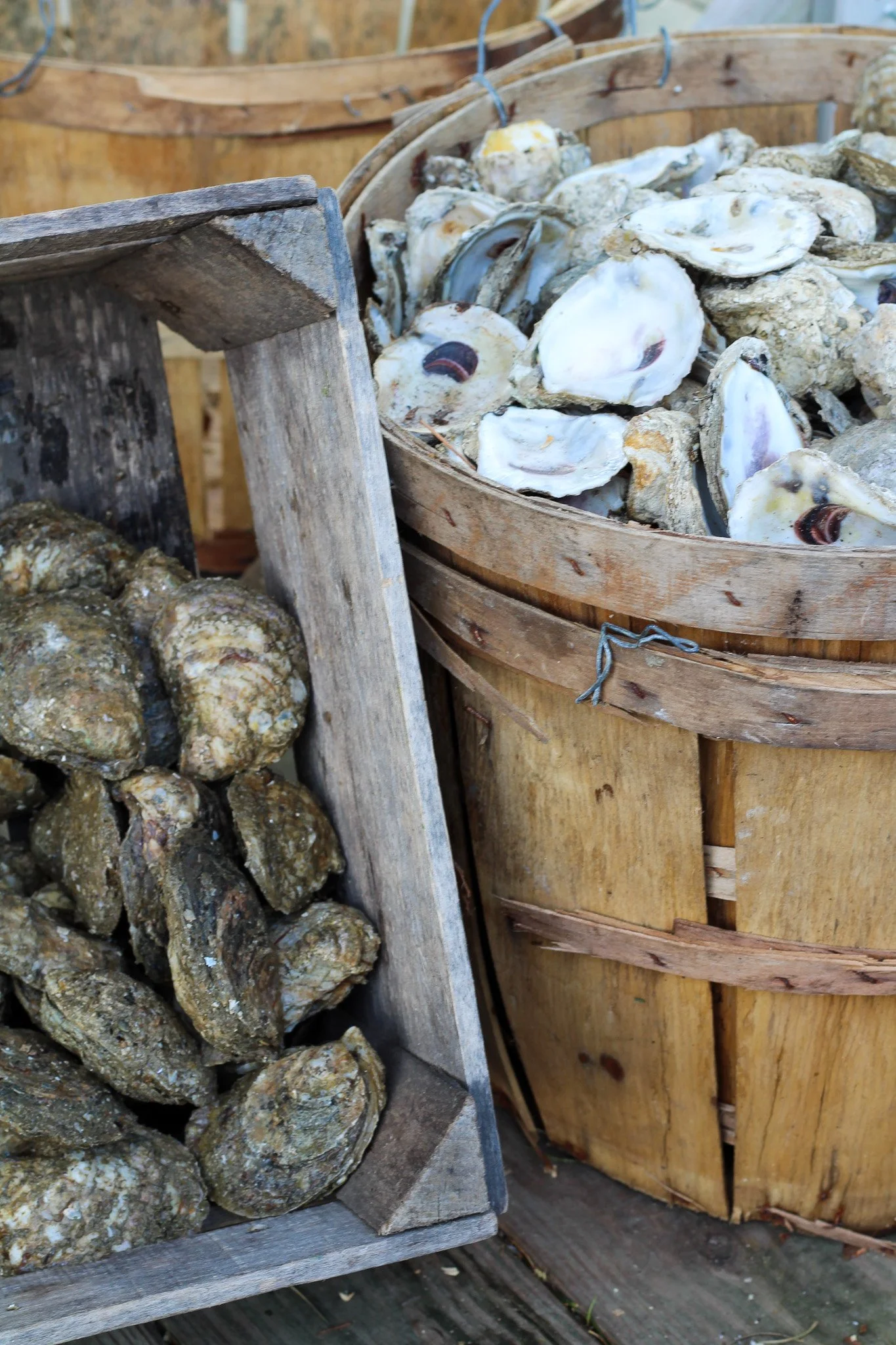 🦪🍷 An Evening of Oysters &amp; Wine 🍷🦪
Join us for an elegant experience celebrating the art of oysters and wine at No Thyme To Cook.

During this immersive class, you&rsquo;ll learn the essentials of selecting, shucking, and savoring oysters whi