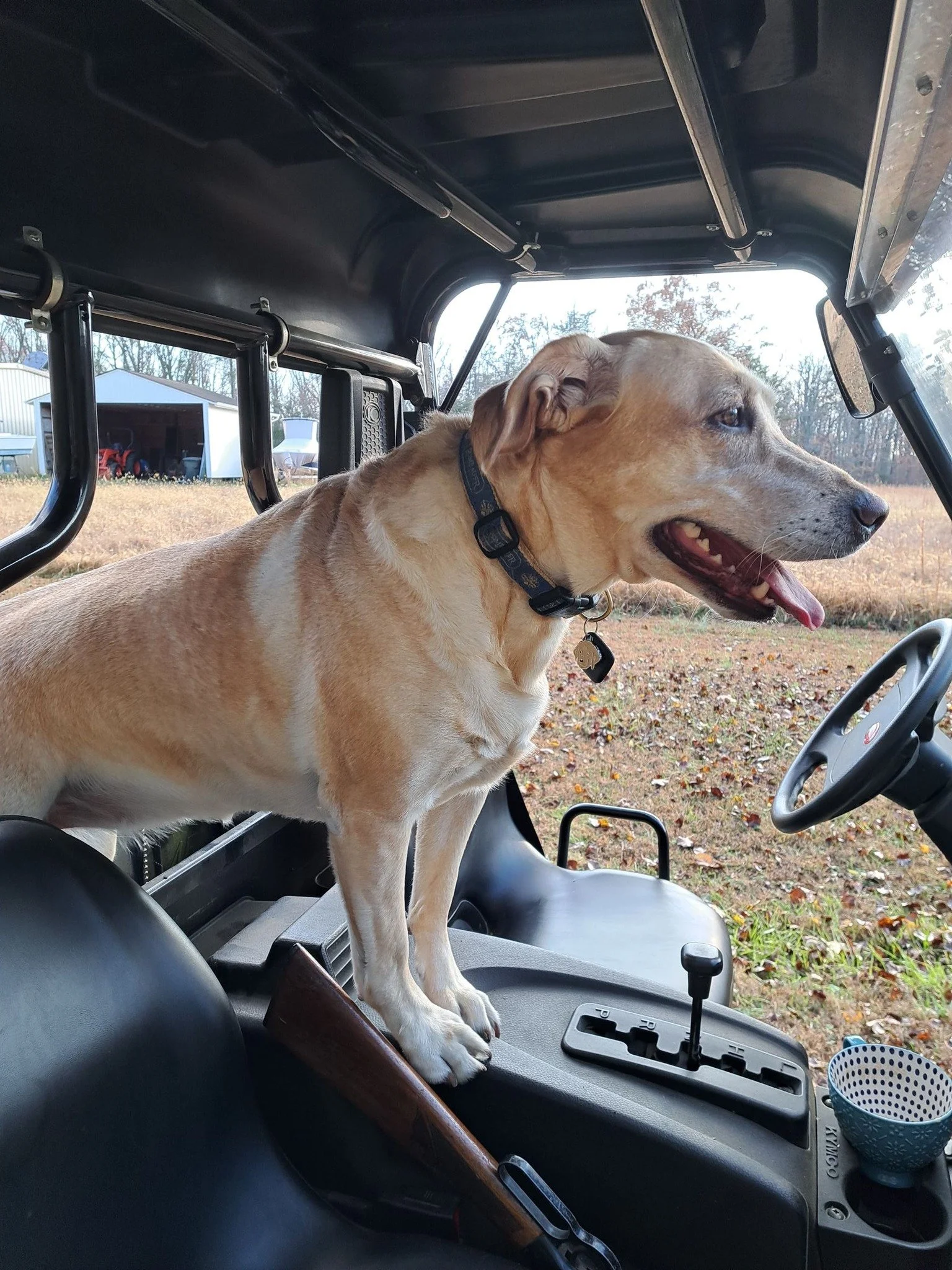 Say a little prayer for our sweet Shelly as she undergoes ACL surgery tomorrow morning. ❤️