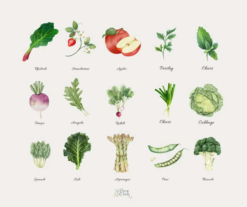 Spring has officially arrived, 🌱 
As the seasons shift, so do the flavors on our table, bringing fresh inspiration, vibrant ingredients, and a deeper connection to the land and each other.

Here is a list of Spring fruits, vegetables, and herbs fo y