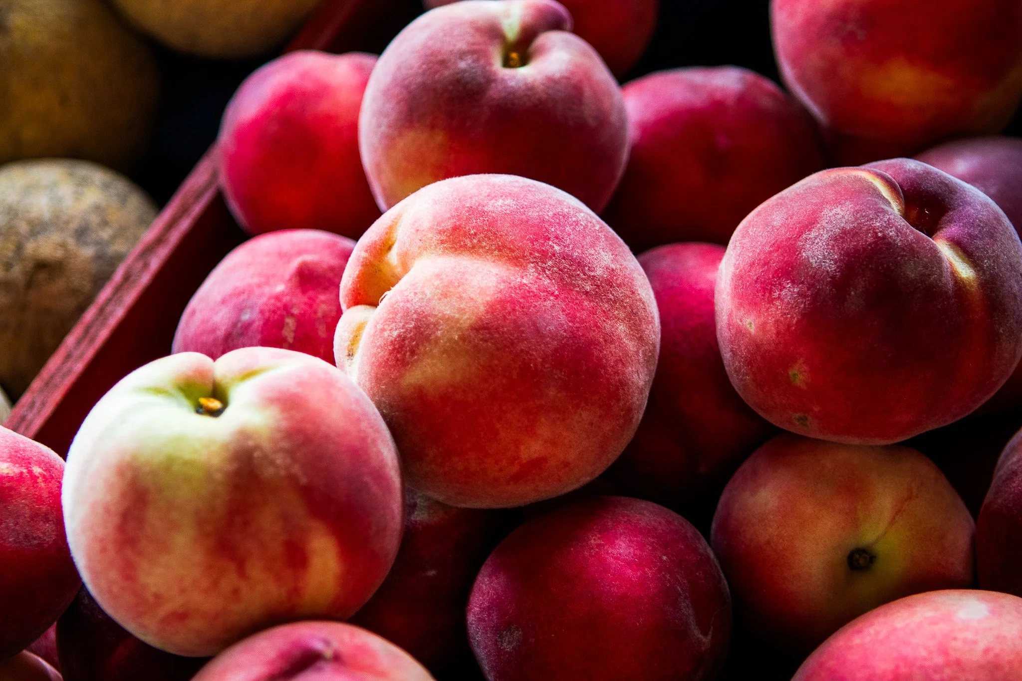 🍑 A Sweet Goodbye to Peach Season 🍑
As the days begin to cool and summer slowly slips away, peach season is coming to an end. It&rsquo;s our reminder to savor those last sweet peaches while we can! ☀️