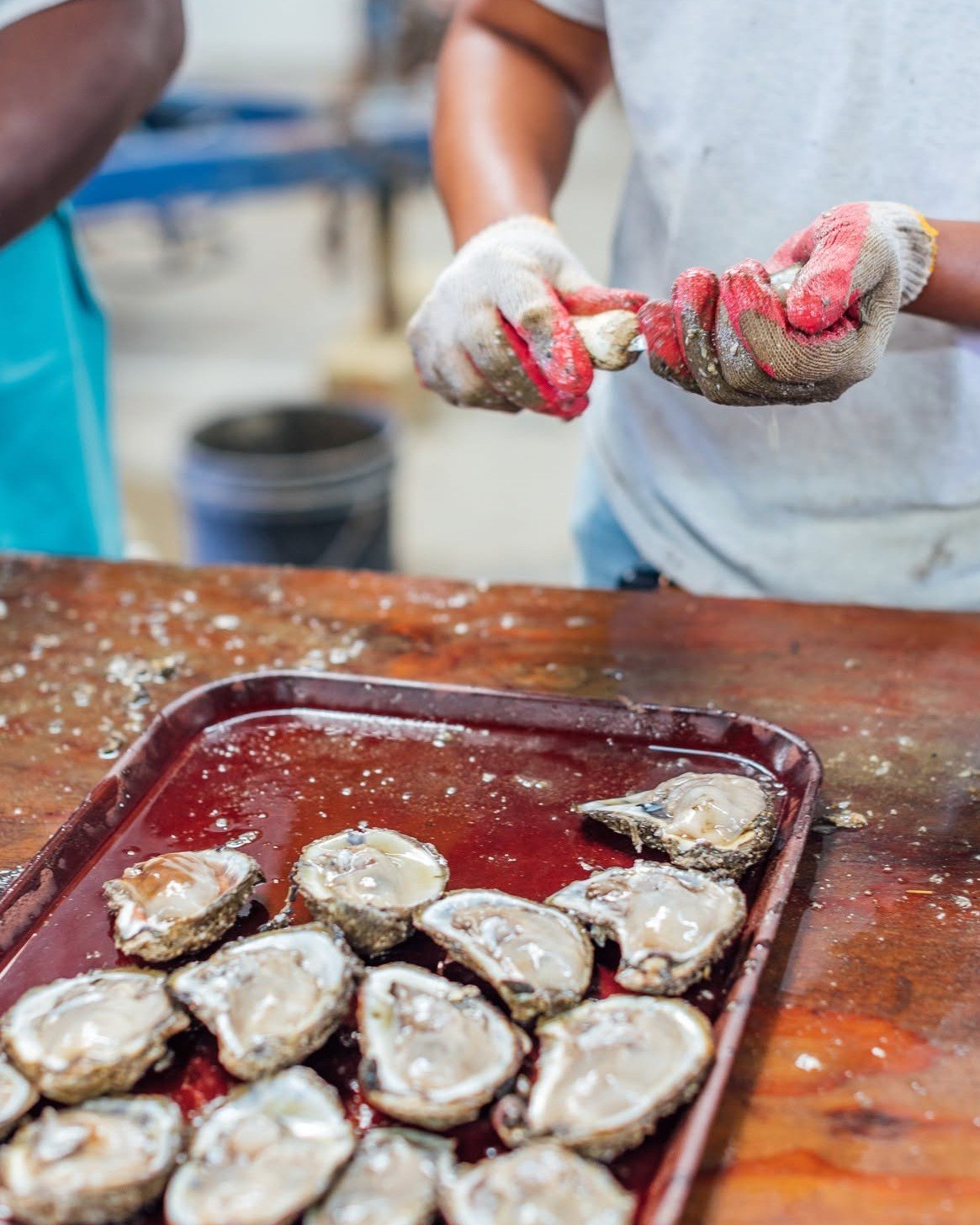 🦪 SHUCK IT! SOLOMONS IS ALMOST HERE! ⚓️
🦪 Grab your passport.
🦪 Collect your stamps.
🦪 Explore Solomons.
🦪 Enter for your chance to win a $1,000 prize package!
📅 Saturday, October 10
⏰ 11 AM&ndash;4 PM
📍 Throughout Solomons Island

👉 Learn mo