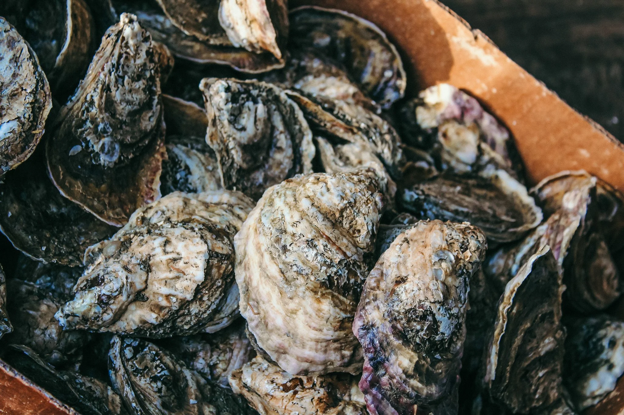 📆 Saturday, October 10th 
💵 $1 SHUCKED OYSTERS &mdash; BRING CASH!
⏰ 11 AM&ndash;4 PM
📍 Throughout Solomons Island
Come hungry, bring your cash, and make a day of it! 🦪🍻🌊
👉 Learn more at VisitSolomonsMD.com