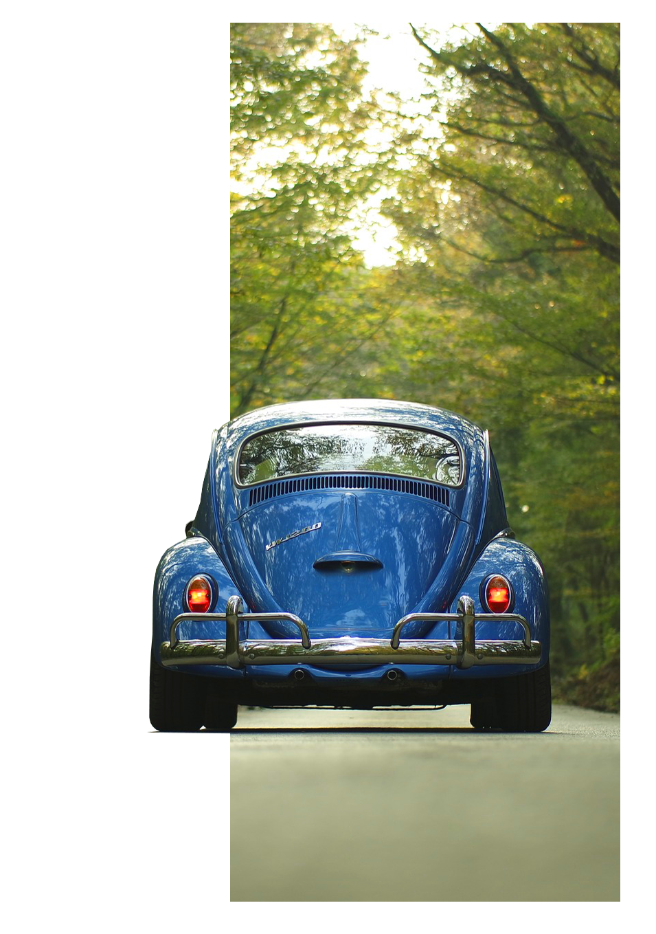Dcu Car Loan >> Dillon Credit Union Dcu Car Loan >> Dillon Credit Union