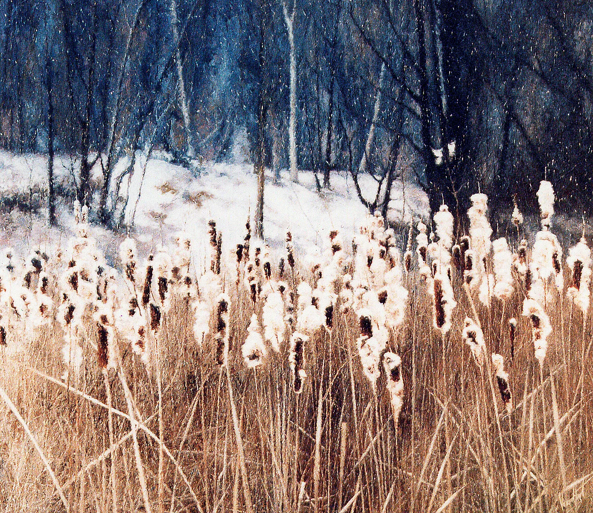 WINTER BULL RUSHES - Dawes Creek, Toronto, Canada SOLD - Private Collection