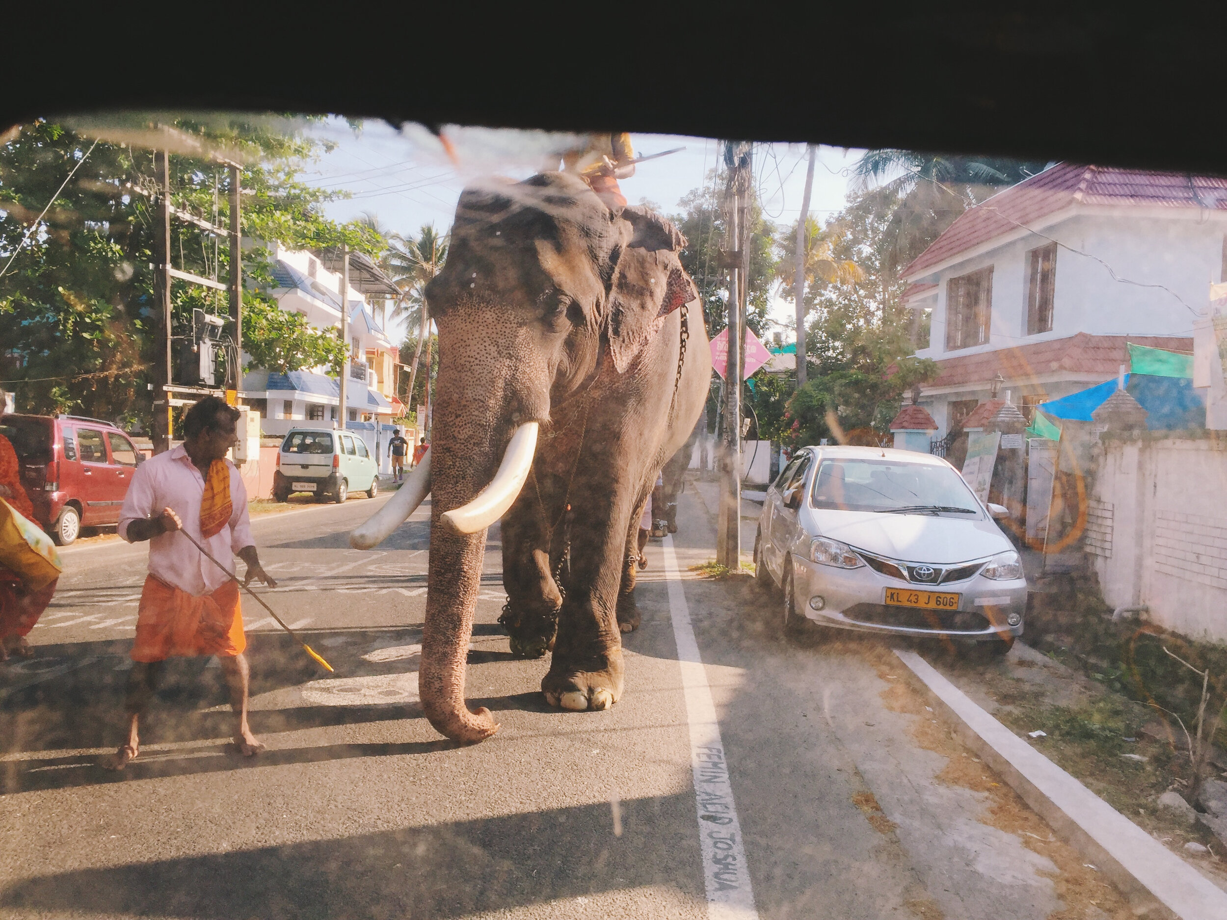 India  - 324 of 397.jpg