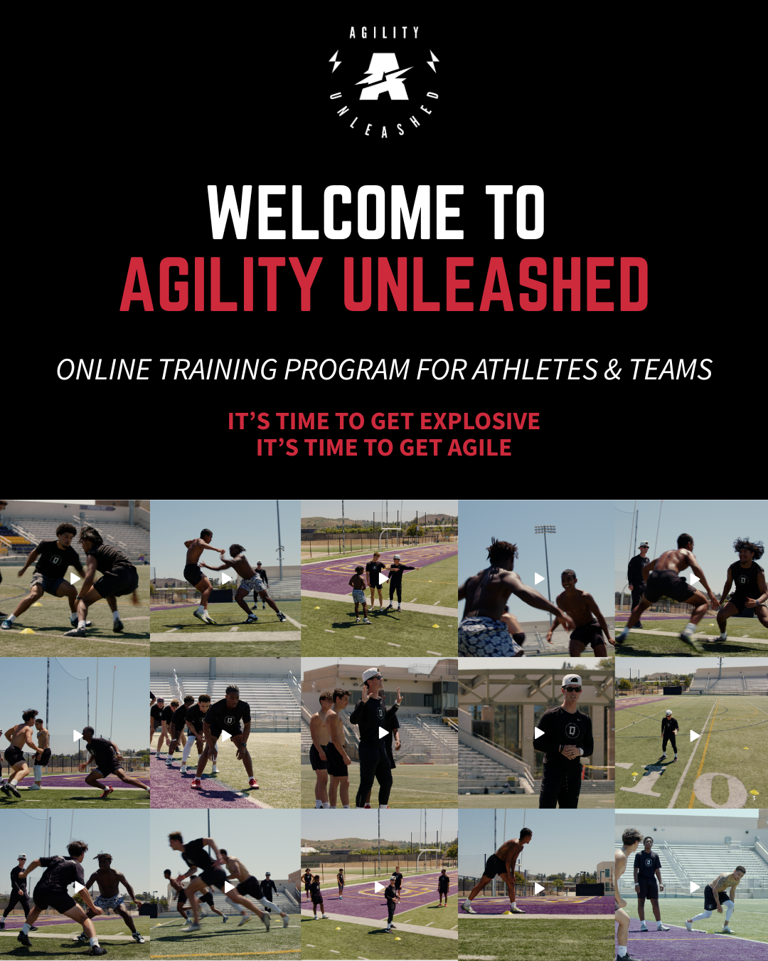 AGILITY UNLEASHED COVER PHOTO (1).png
