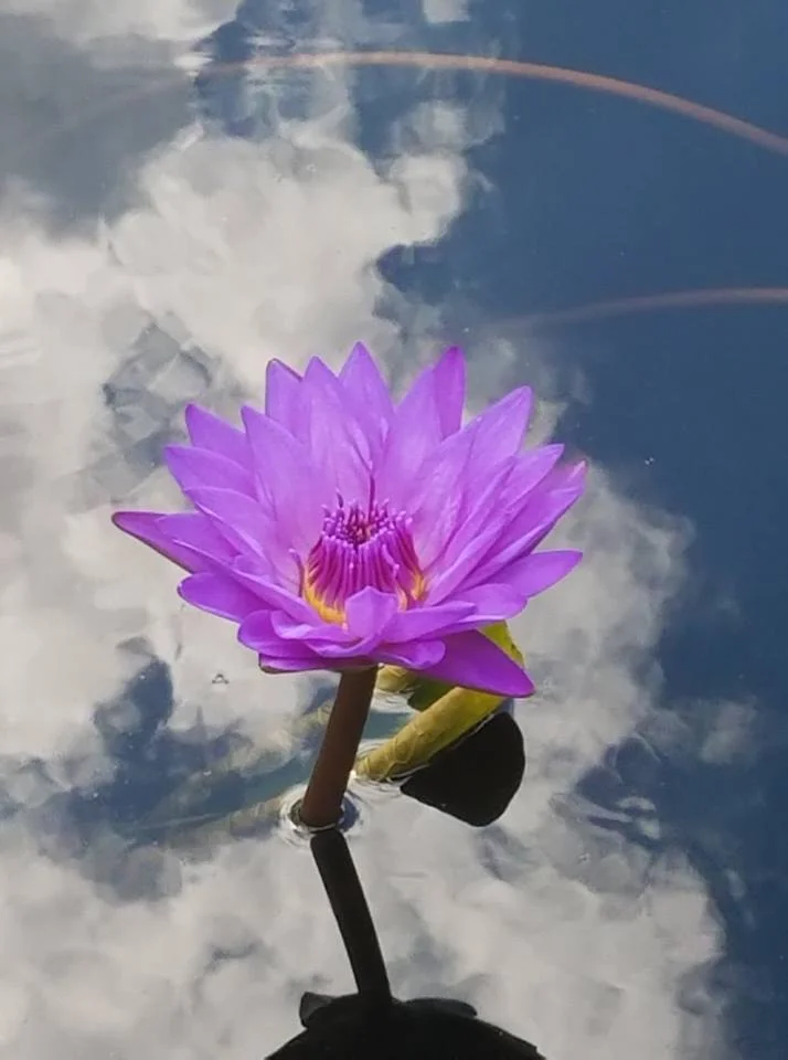 Mindfulness-Based Stress Reduction (MBSR)