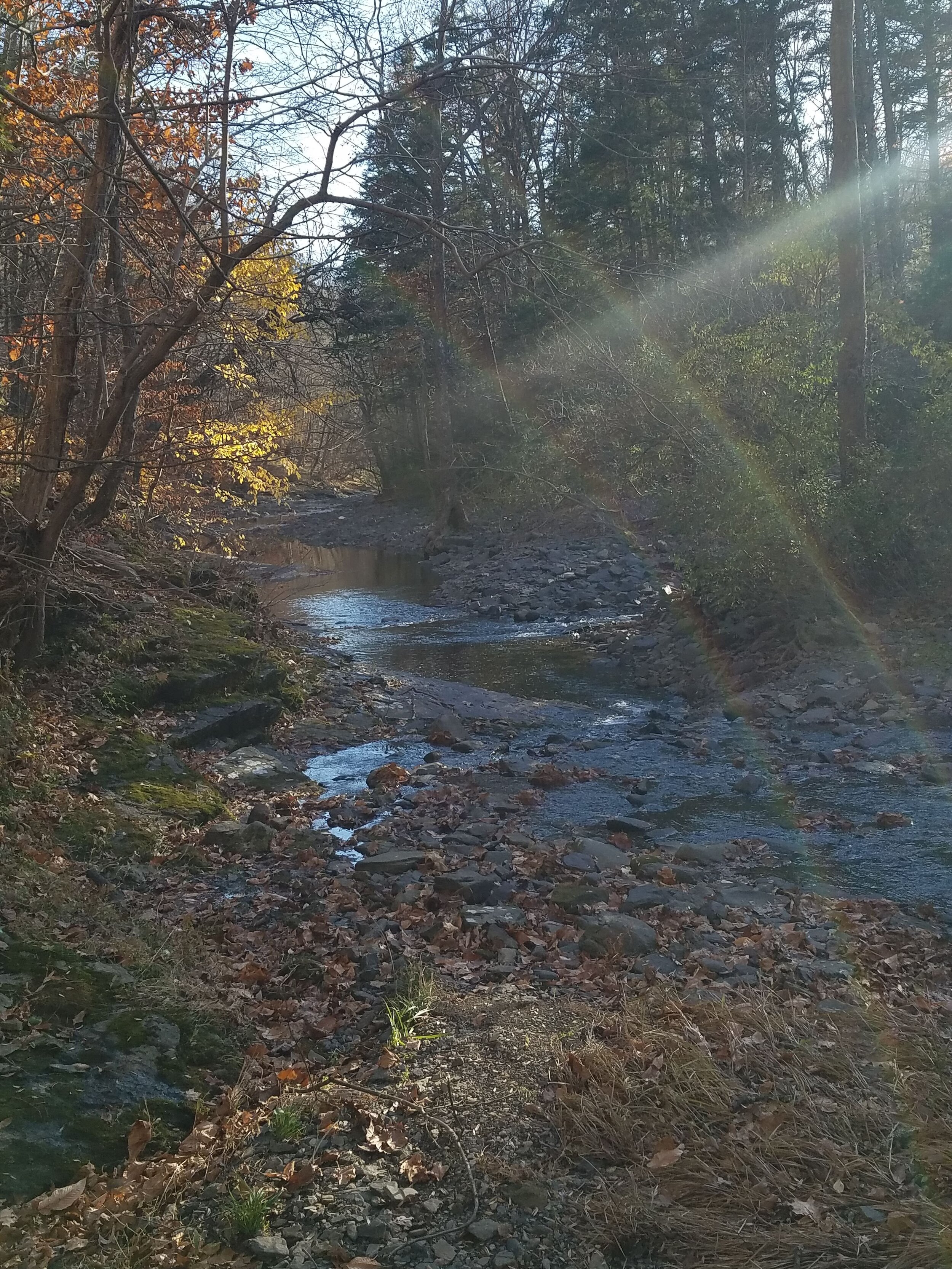 Awakened in the Stream: A Mindfulness Retreat