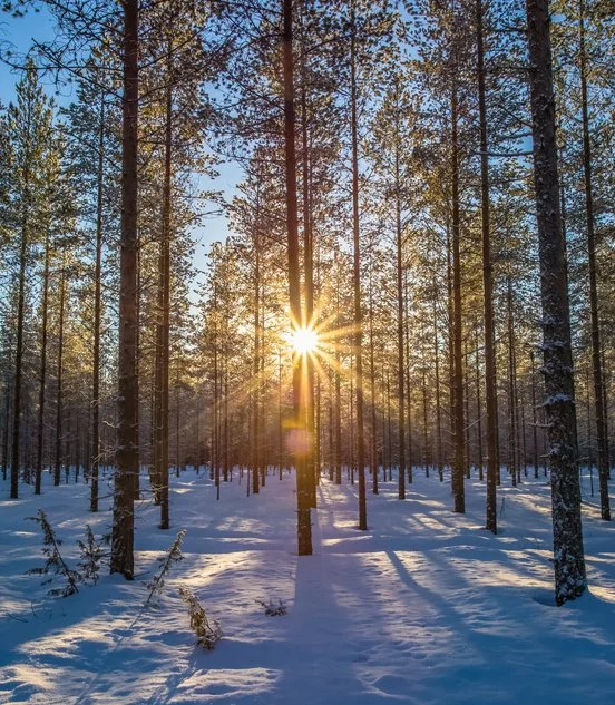 Nurtured by Darkness: A Winter Solstice Celebration