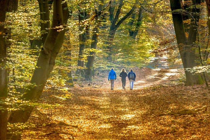 A Savoring Walk