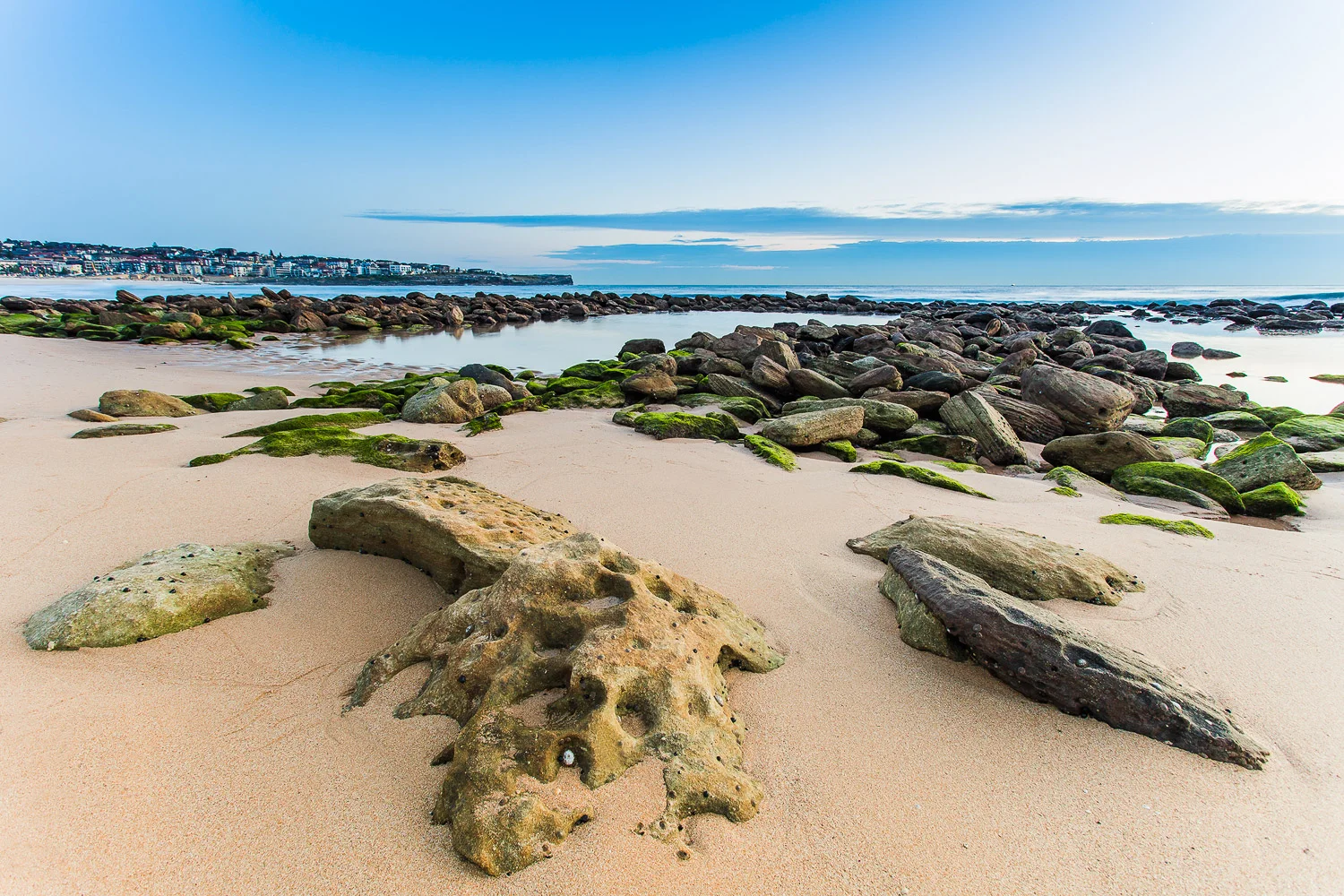 Billmorris_crocodile_rock.jpg