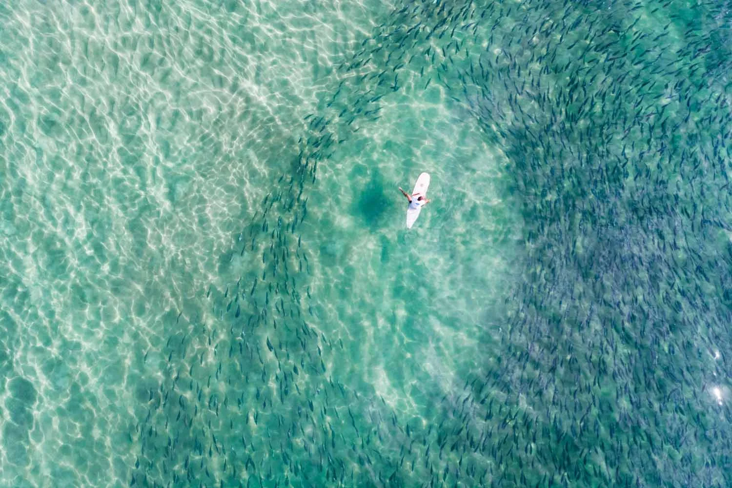 DJI_0126_morris_surrounded.jpg