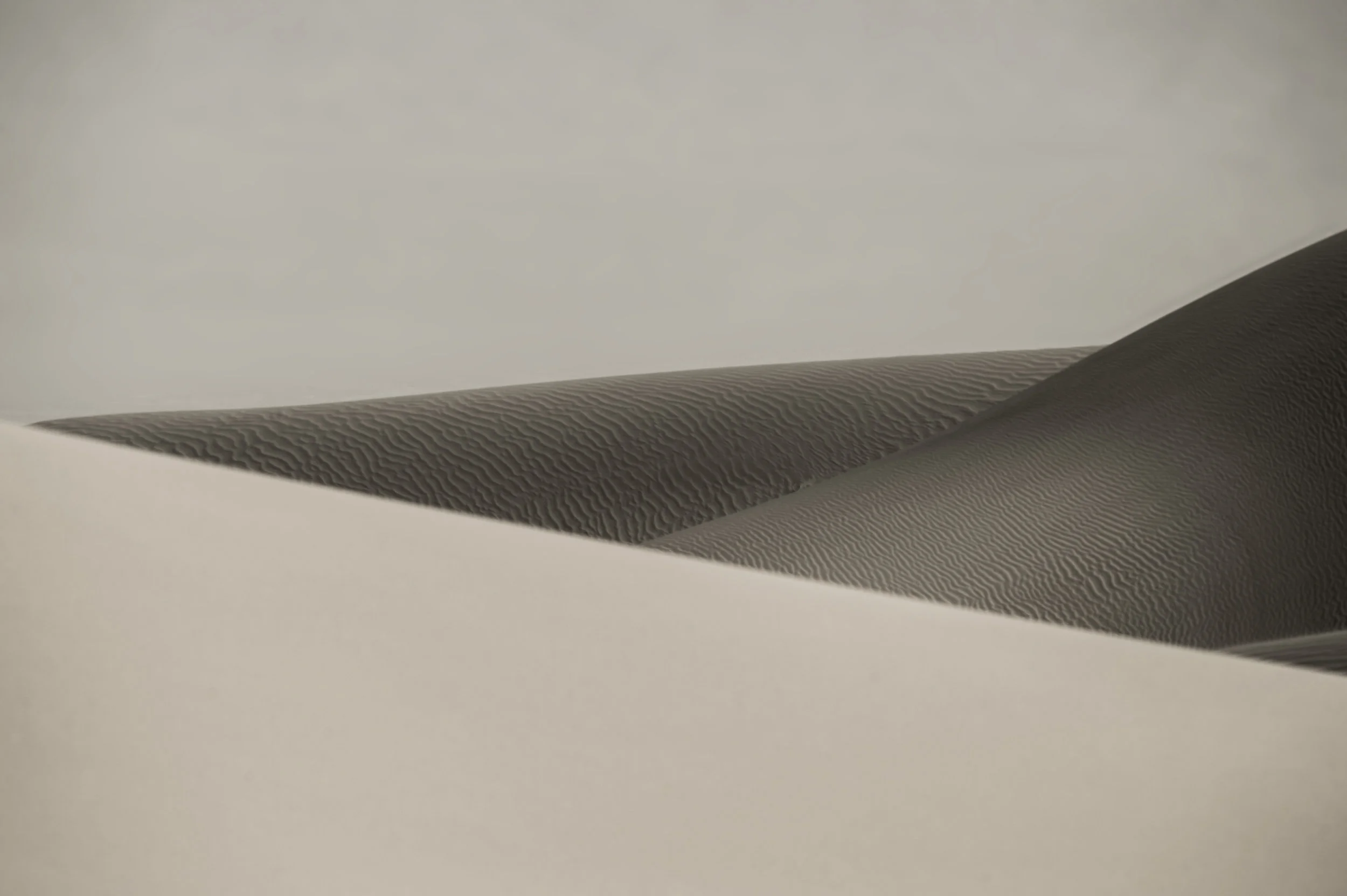 Dune_4233.jpg