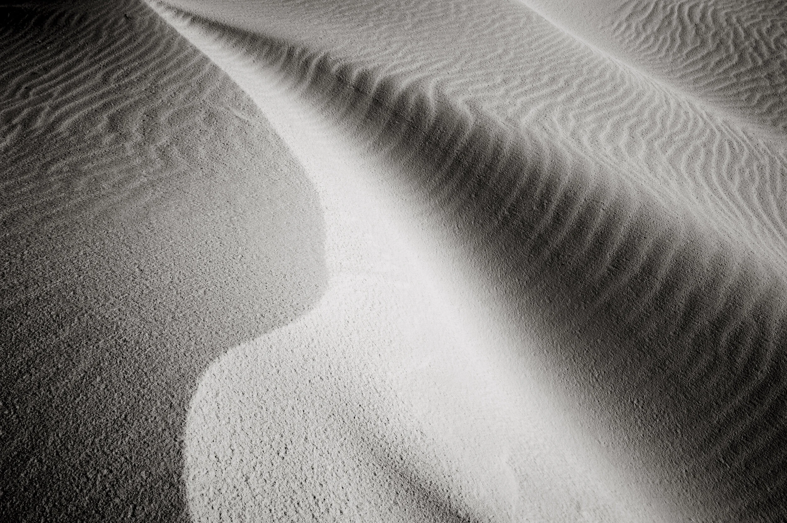 5_8717_V2_web.jpg