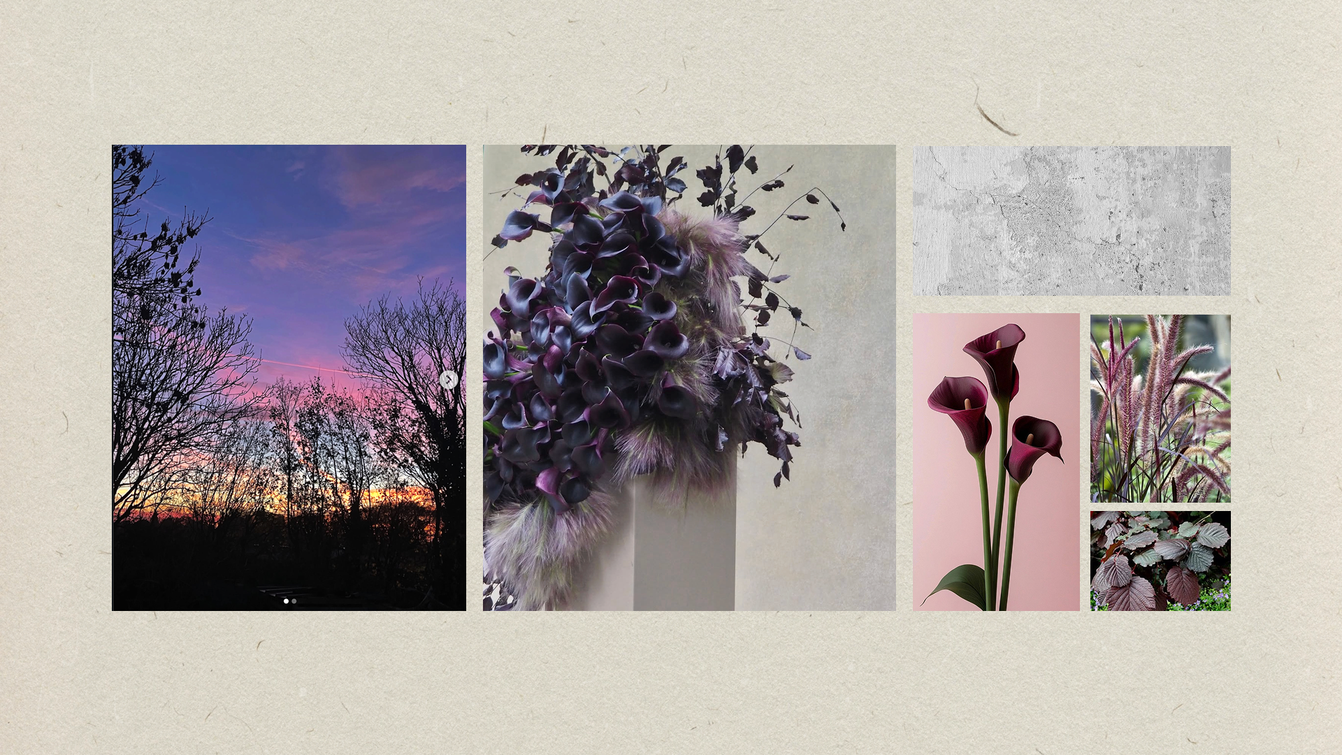 Atelier Corallo_Ariane Seibert4.png