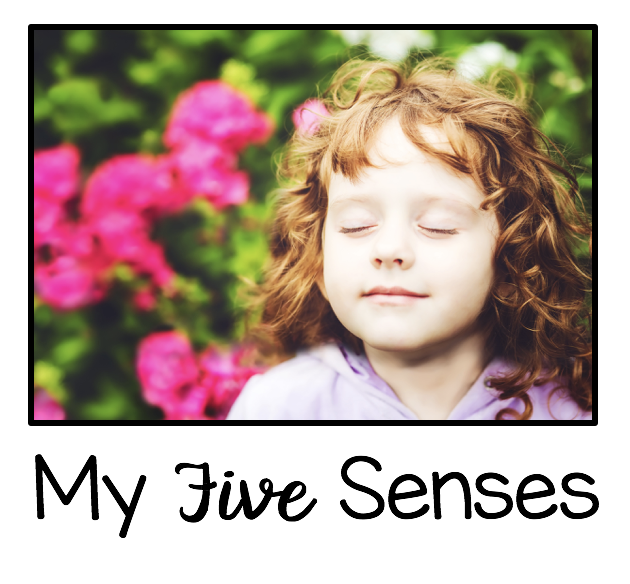 my body and five senses