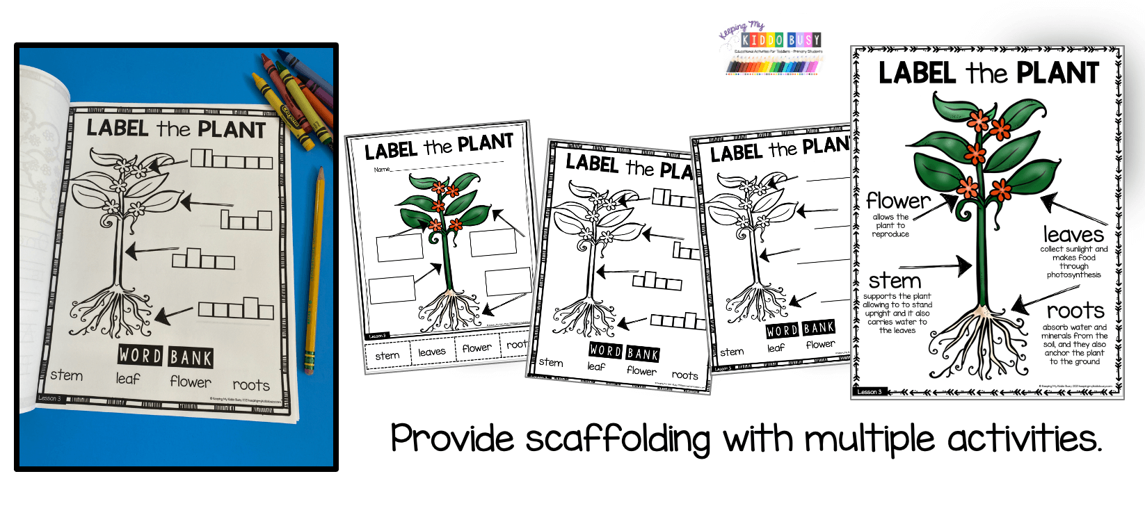 All About Plants Science Unit - FREE ACTIVITY — Keeping My Kiddo Busy