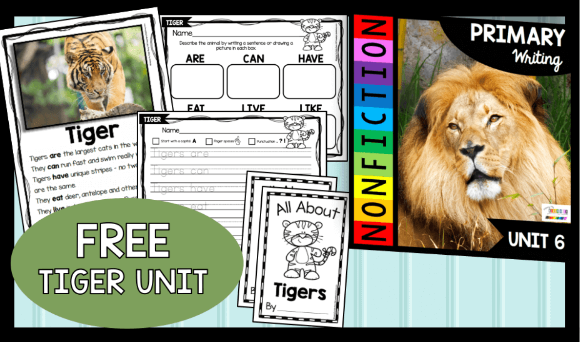 Screen Shot 2021-02-16 at 6.02.13 AM.png