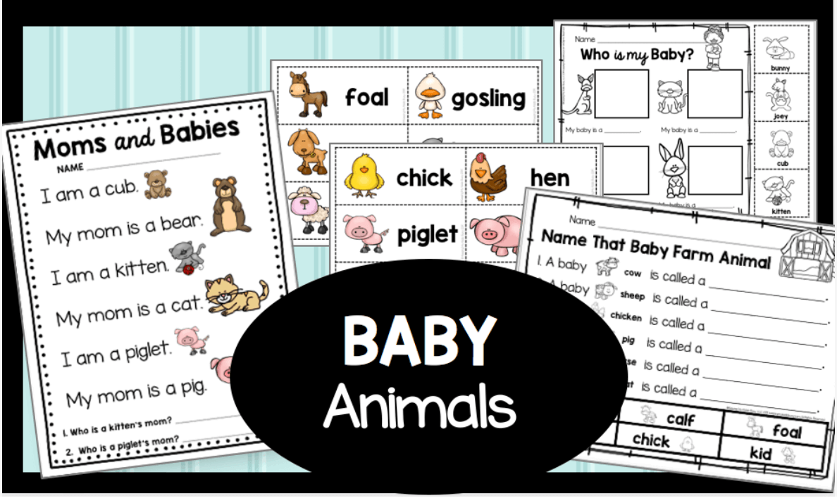 Screen Shot 2021-02-16 at 6.01.49 AM.png