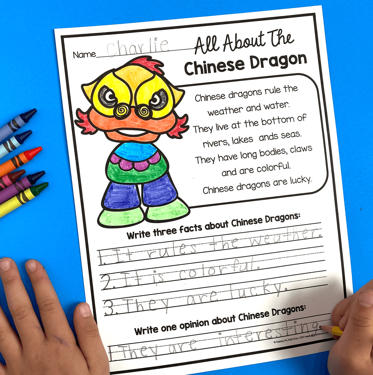 First Grade January Worksheets FREEBIES   