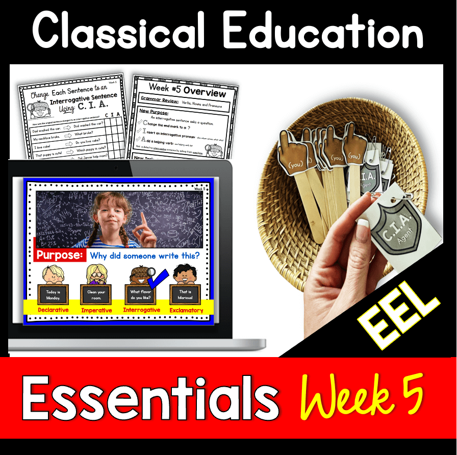 Screenshot 2024-08-04 at 7.09.37 AM.png