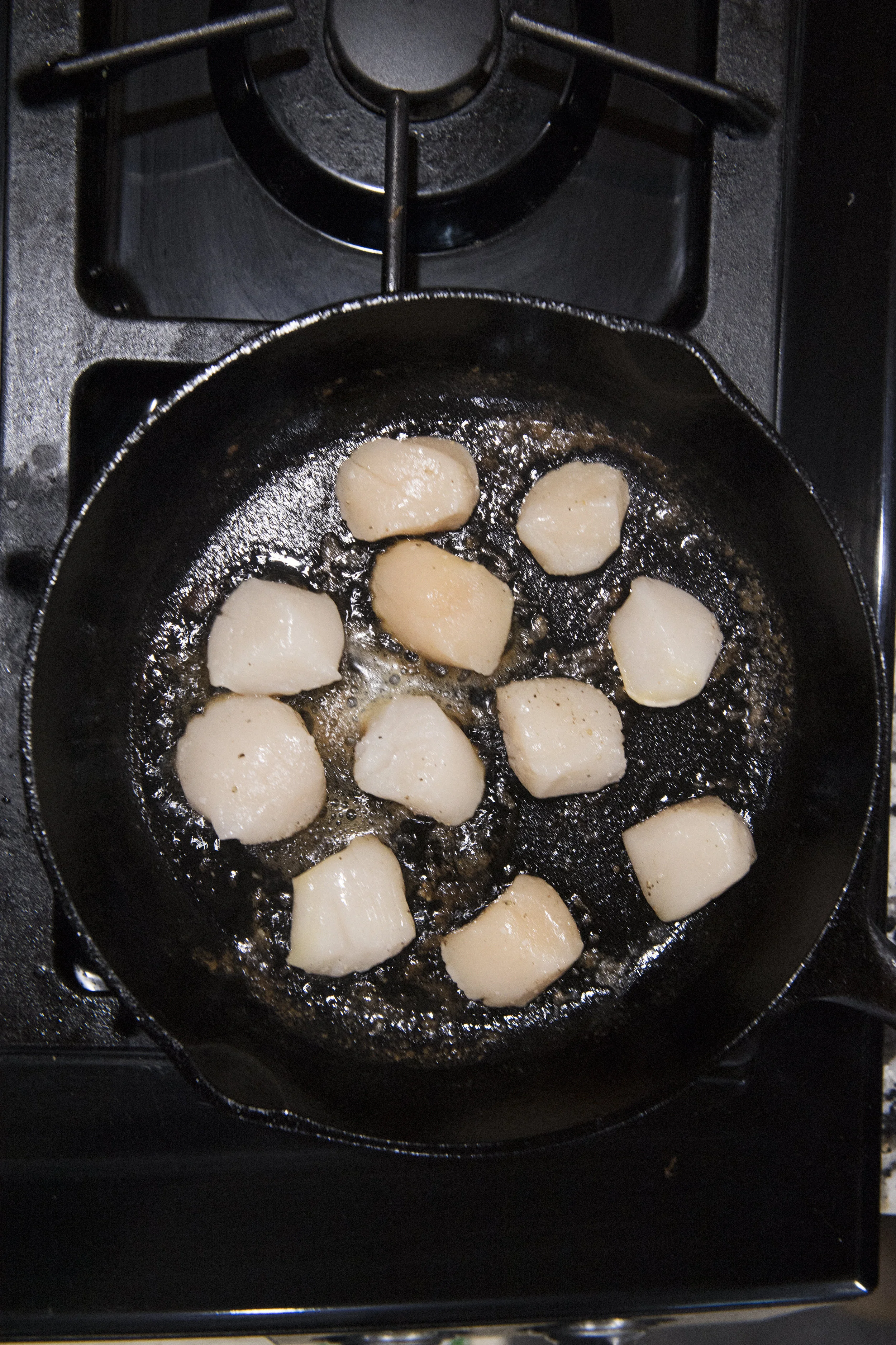 Scallops! Photo by Nicole Wolf