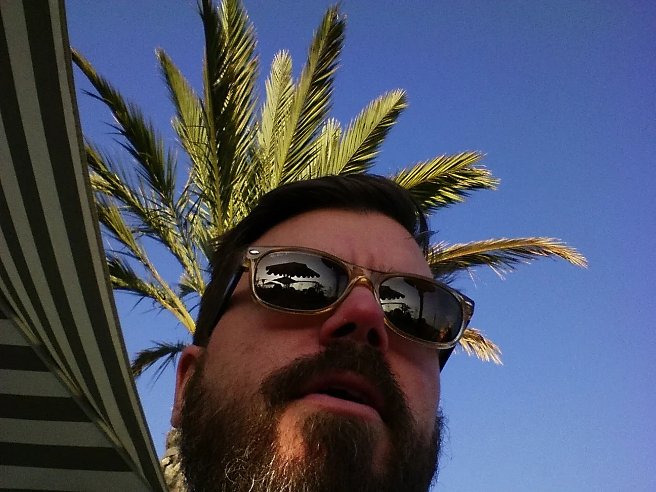 IMG_20150206_160909.jpg
