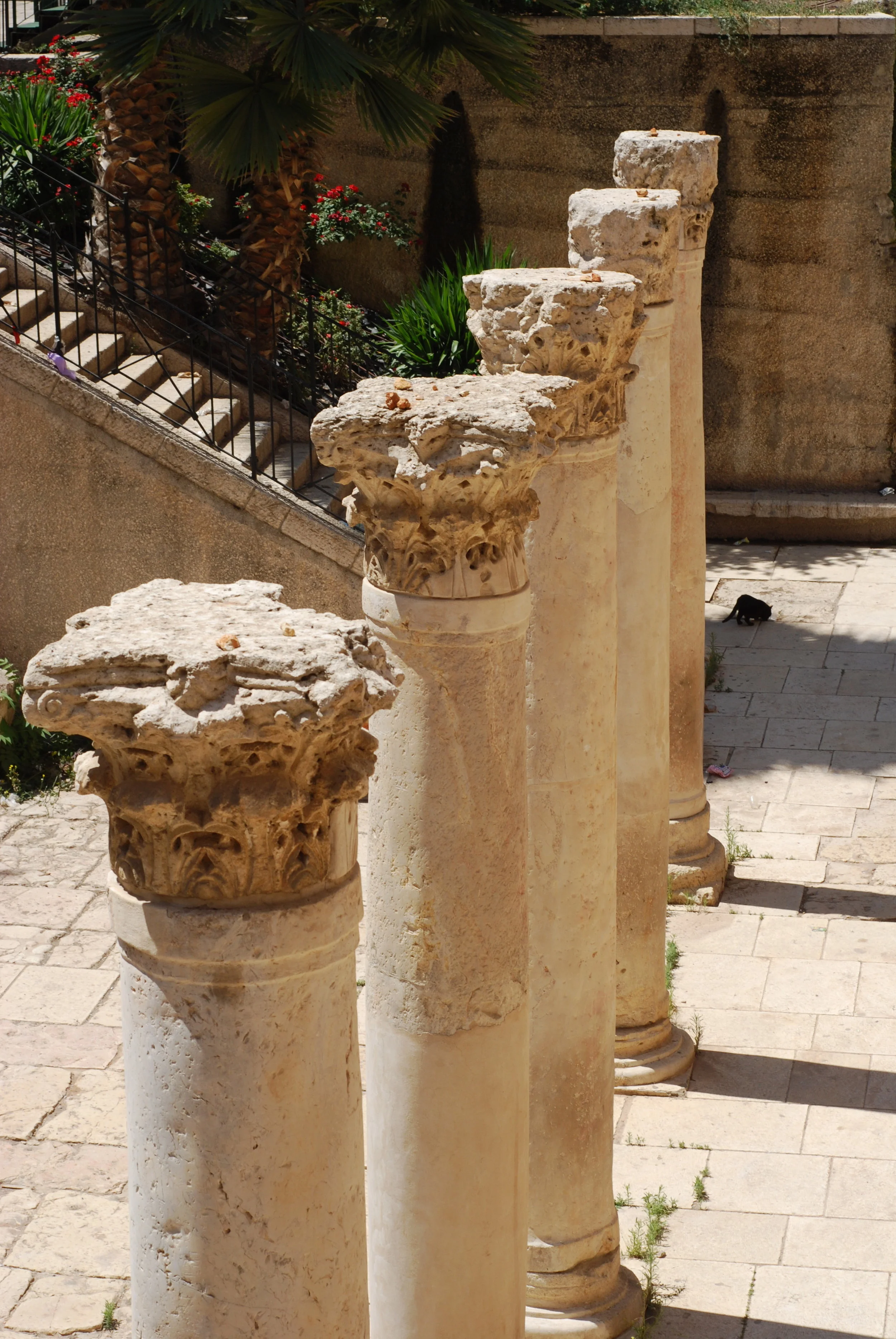 DSC_0009.jpg