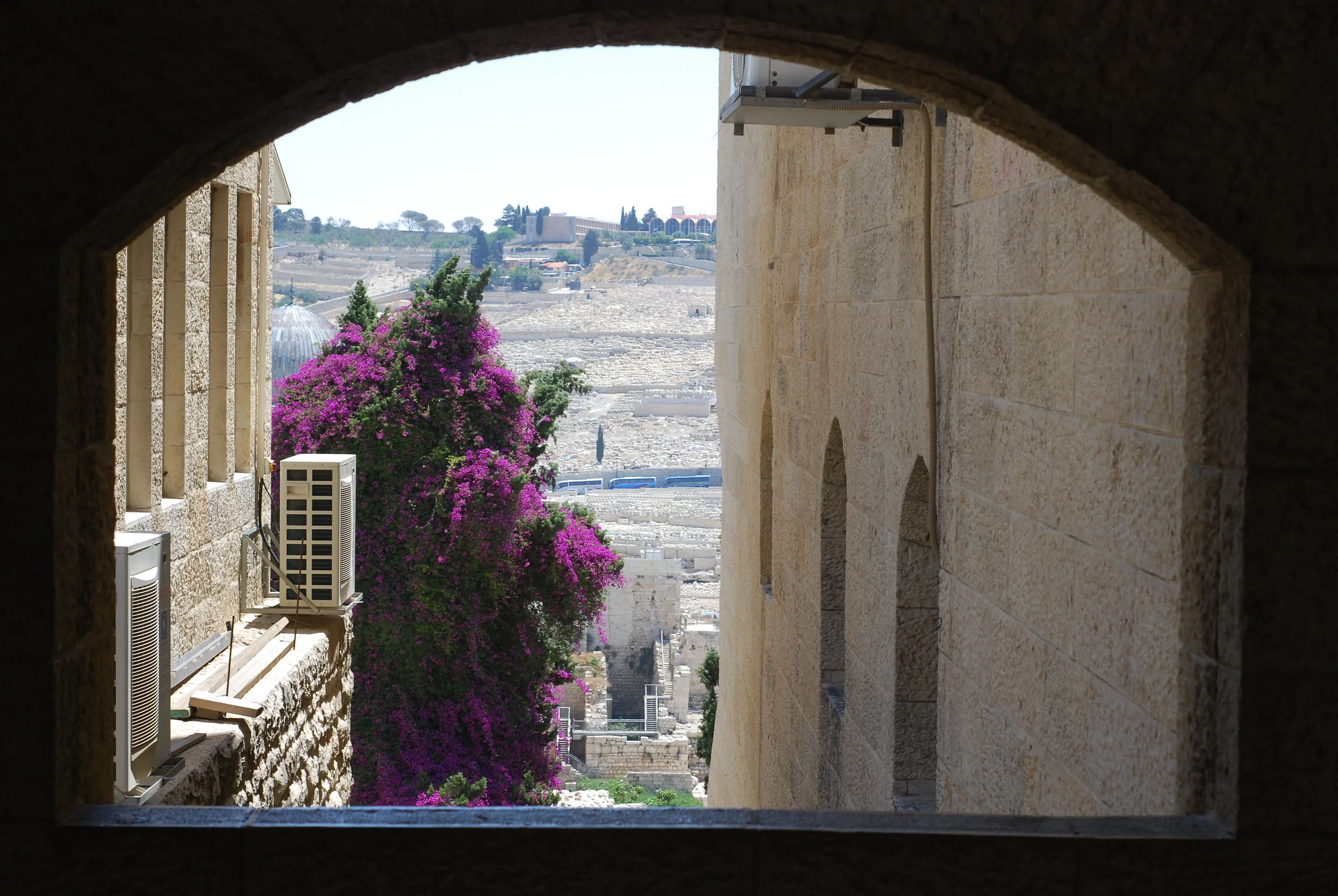 DSC_0015.jpg