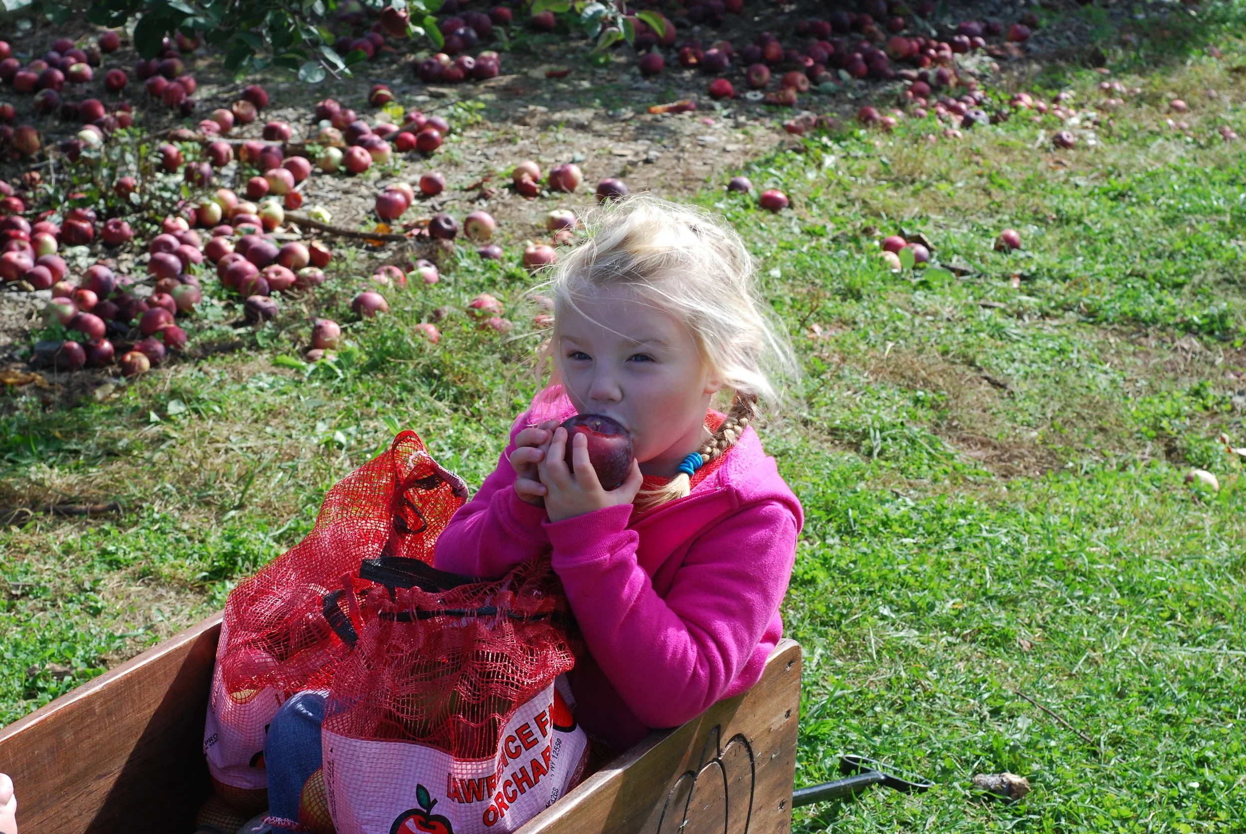 DSC_0022.jpg