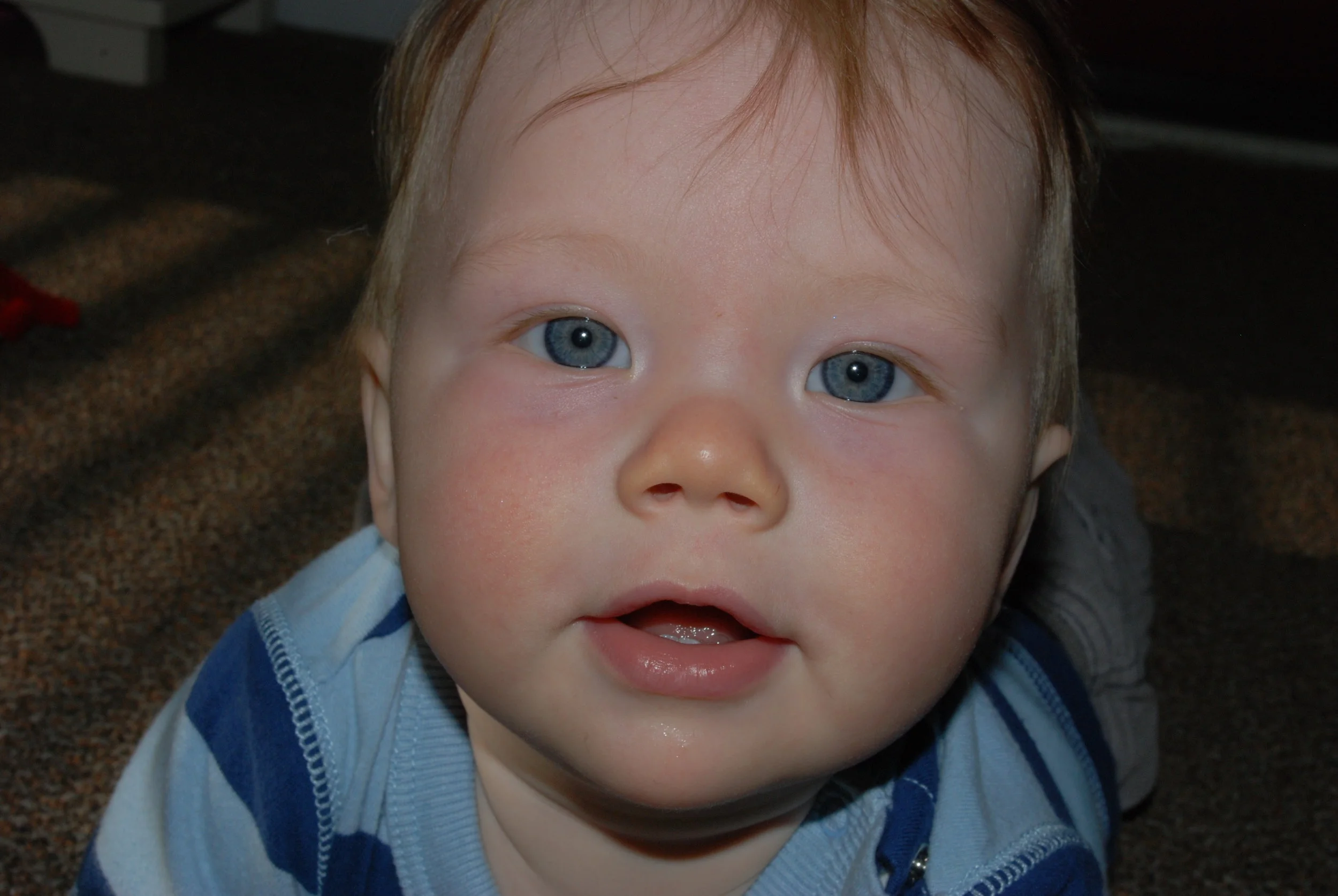 DSC_0009.jpg