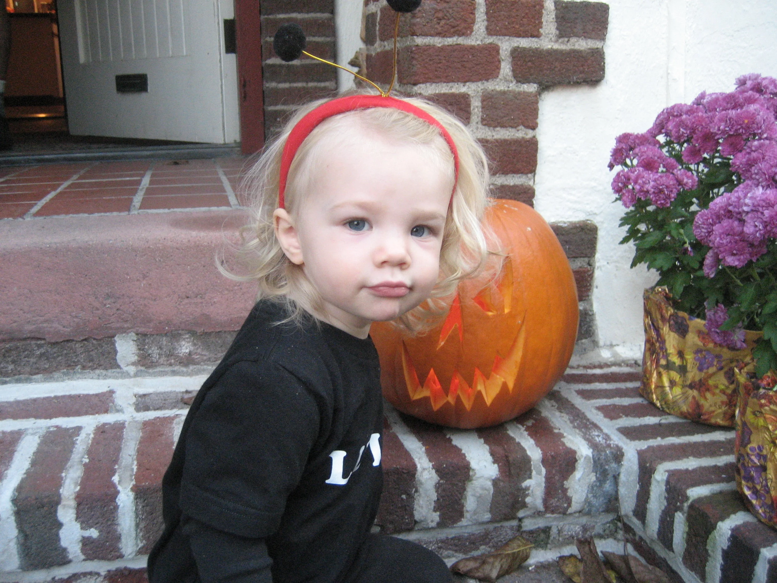 IMG_2622.jpg