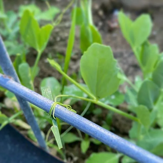 Hang in there, everybody.