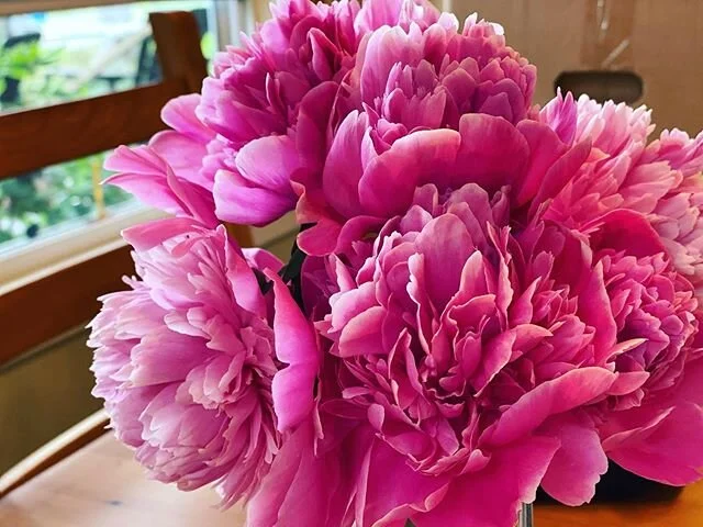 Second only to lilacs but it&rsquo;s a close race.