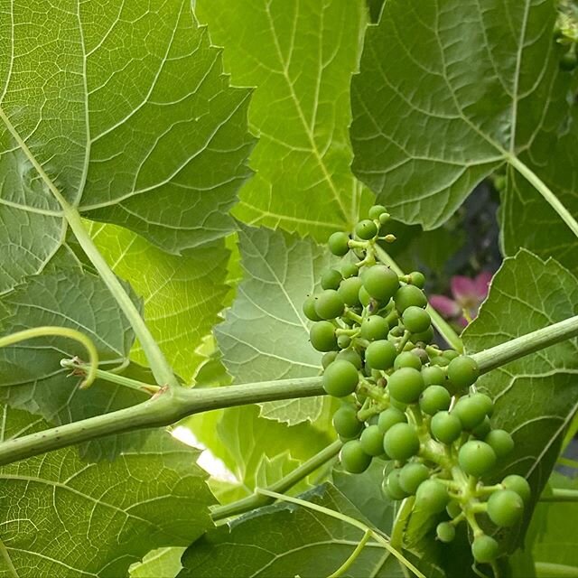 I see potential here