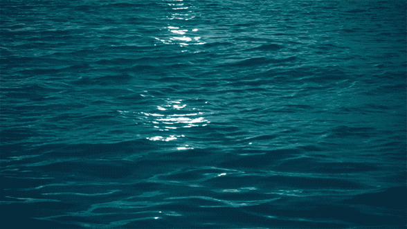agua_01_cover.gif