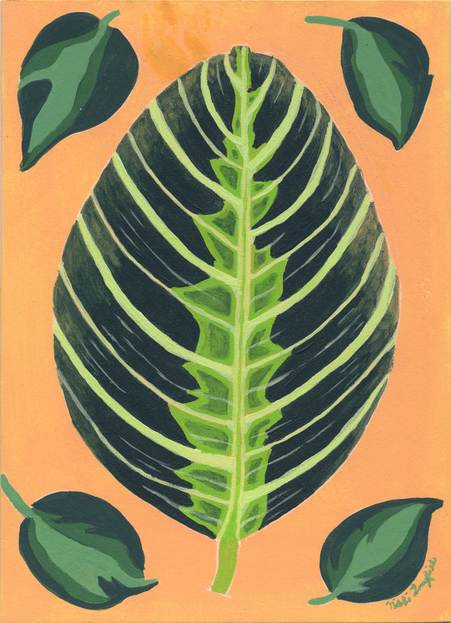 PlantShow.jpeg