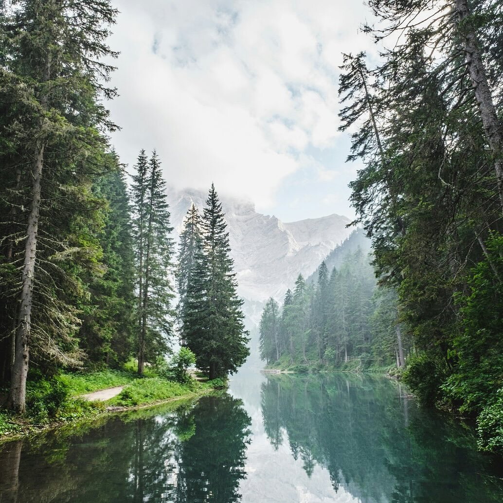 🌲 New Blog Article: &ldquo;What is Depth Therapy?&rdquo; 

🌲 Link in Bio

#depththerapy #psychology #psychotherapy #unconsciousmind #depthwork #psychodynamictherapy #psychoanalyticalpsychotherapy #somaticpsychotherapy